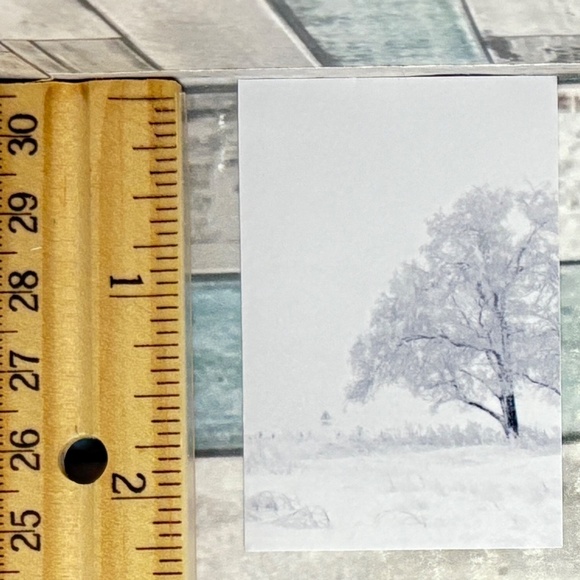 ๐10/$10๐ White Dream Reusable Washi Sticker Decal - Picture 1 of 1